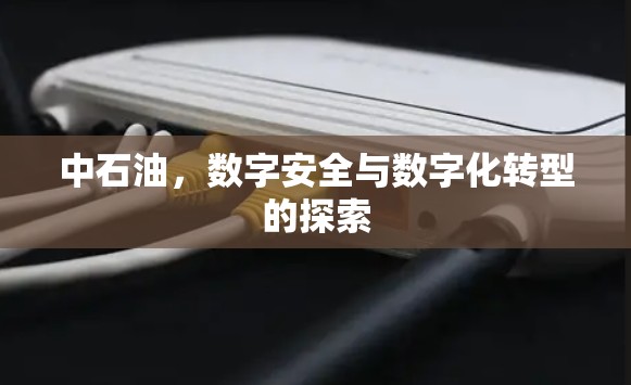 中石油，数字安全与数字化转型的探索