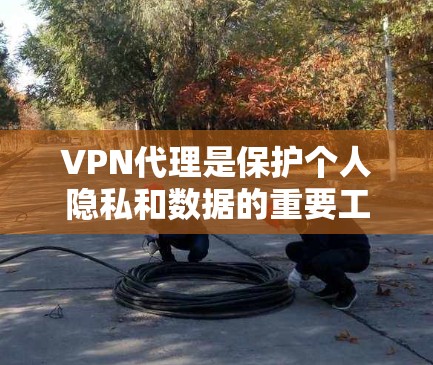 VPN代理是保护个人隐私和数据的重要工具，选择一个可靠、安全的VPN代理将极大提升你的网络体验。以下是一些推荐的VPN代理平台，涵盖了多种配置和功能，适合不同需求的用户