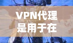 VPN代理是用于在不直接连接互联网的情况下，通过其他设备或服务器实现VPN连接的网络服务。选择一款好的VPN代理，对于保障网络安全和数据传输至关重要。以下是一些可靠的选择，供您参考