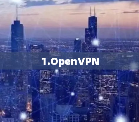 1.OpenVPN