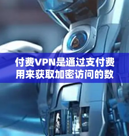 付费VPN是通过支付费用来获取加密访问的数据保护服务。以下是关于付费VPN的详细分析