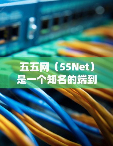 五五网（55Net）是一个知名的端到端加密VPN品牌，提供多种服务和功能，让用户在安全、可靠和经济性的条件下选择最适合自己的VPN方案。以下是一些常见的使用场景和功能