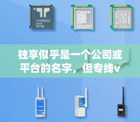 独享似乎是一个公司或平台的名字，但专线vpn可能是一个特定的VPN服务或应用。如果你指的是专线vpn，这是一个用于VPN的网络服务，通常用于在线视频、文件传输等目的