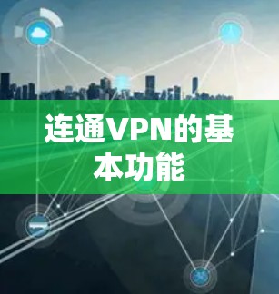 连通VPN的基本功能