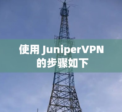 使用 JuniperVPN 的步骤如下