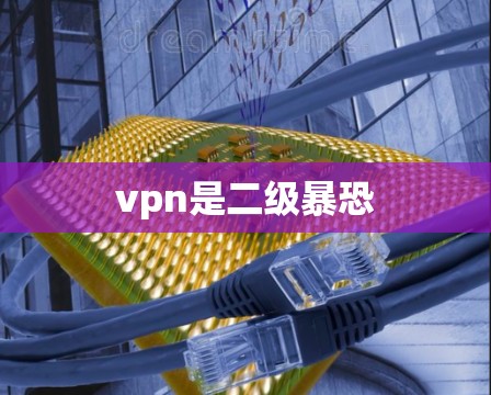 vpn是二级暴恐