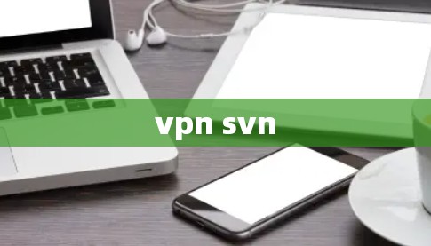 vpn svn