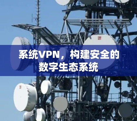 系统VPN，构建安全的数字生态系统