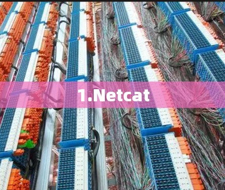 1.Netcat 1.Netcat