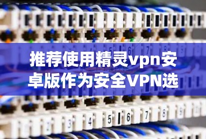 推荐使用精灵vpn安卓版作为安全VPN选择