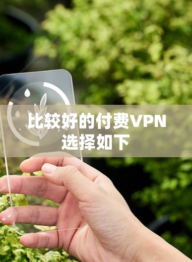 比较好的付费VPN选择如下 比较好的付费VPN选择如下