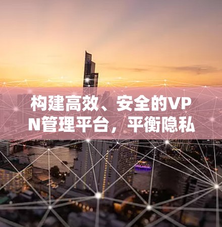 构建高效、安全的VPN管理平台，平衡隐私与安全的智慧解决方案