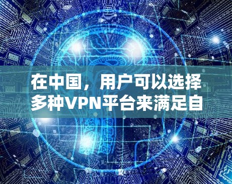 在中国，用户可以选择多种VPN平台来满足自己的需求。以下是一些国内常用的VPN平台及其特点